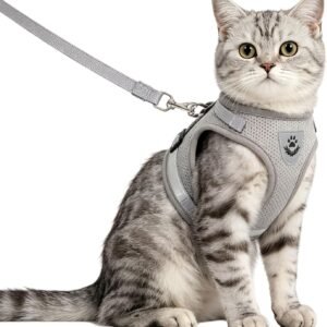 Soft Mesh No Pull Cat Harness and Lead Set for Walking, Escape Proof Kitten Vest Harnesses for Small Dogs/Cats/Animals Rabbit, Cool Cat Dog Collar with Leash (Grey, X-Small)
