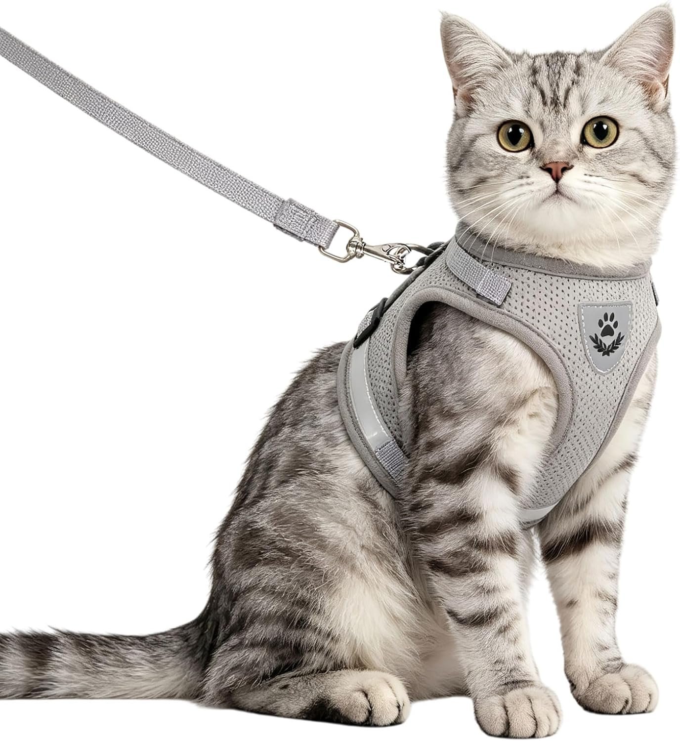 Soft Mesh No Pull Cat Harness and Lead Set for Walking, Escape Proof Kitten Vest Harnesses for Small Dogs/Cats/Animals Rabbit, Cool Cat Dog Collar with Leash (Grey, X-Small)