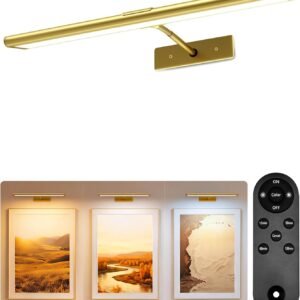EZVALO 16'' Picture Light for Wall, 4800mAh Rechargeable Wall Light