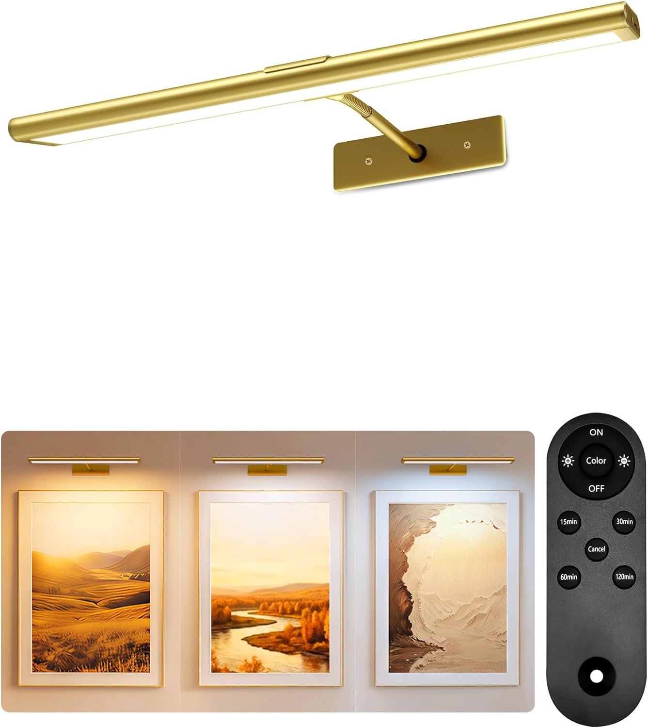 EZVALO 16'' Picture Light for Wall, 4800mAh Rechargeable Wall Light